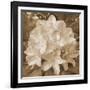 Earthy May Flower-Sheldon Lewis-Framed Art Print