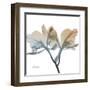 Earthy Orchid-Albert Koetsier-Framed Art Print