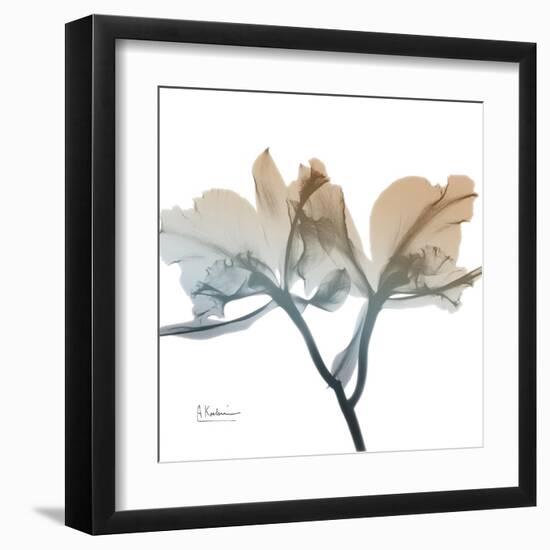 Earthy Orchid-Albert Koetsier-Framed Art Print