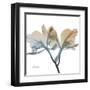 Earthy Orchid-Albert Koetsier-Framed Art Print