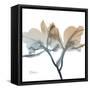 Earthy Orchid-Albert Koetsier-Framed Stretched Canvas