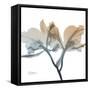 Earthy Orchid-Albert Koetsier-Framed Stretched Canvas