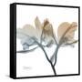 Earthy Orchid-Albert Koetsier-Framed Stretched Canvas