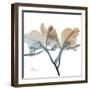 Earthy Orchid-Albert Koetsier-Framed Art Print