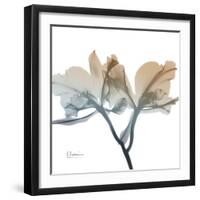 Earthy Orchid-Albert Koetsier-Framed Art Print