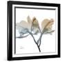 Earthy Orchid-Albert Koetsier-Framed Art Print