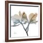 Earthy Orchid-Albert Koetsier-Framed Art Print