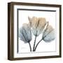 Earthy Tulips-Albert Koetsier-Framed Art Print