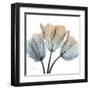 Earthy Tulips-Albert Koetsier-Framed Art Print