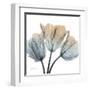 Earthy Tulips-Albert Koetsier-Framed Art Print