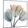 Earthy Tulips-Albert Koetsier-Mounted Art Print