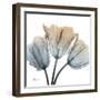 Earthy Tulips-Albert Koetsier-Framed Art Print