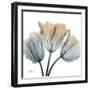 Earthy Tulips-Albert Koetsier-Framed Art Print