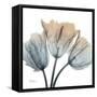 Earthy Tulips-Albert Koetsier-Framed Stretched Canvas