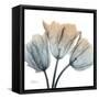 Earthy Tulips-Albert Koetsier-Framed Stretched Canvas