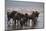 East Africa, Tanzania, Ngorongoro Crater, Wildebeest Drinking Water-Peter Skinner-Mounted Photographic Print