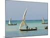 East Africa, Tanzania, Zanzibar, A Traditional Dhow, India, and East Africa-Paul Harris-Mounted Photographic Print