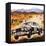 East African Safari Rally-Graham Coton-Framed Stretched Canvas