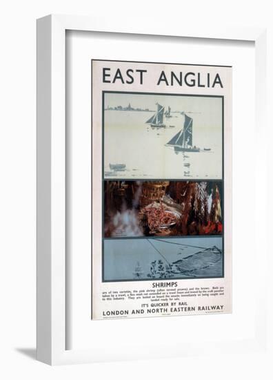East Anglia Shrimps-null-Framed Art Print
