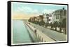 East Battery, Charleston, South Carolina-null-Framed Stretched Canvas