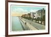 East Battery, Charleston, South Carolina-null-Framed Premium Giclee Print