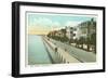 East Battery, Charleston, South Carolina-null-Framed Art Print