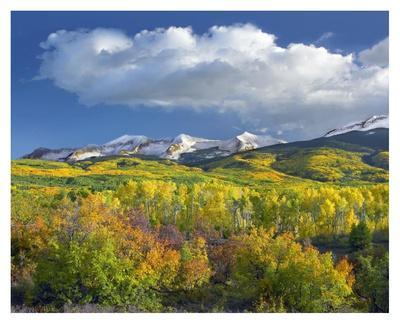 flanked beckwith cumulus aspen colored