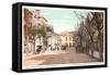 East Broad Street, Charleston, South Carolina-null-Framed Stretched Canvas