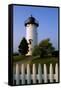 East Chop Lighthouse-Judy Reinford-Framed Stretched Canvas