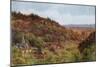 East Clevedon Valley-Alfred Robert Quinton-Mounted Giclee Print