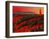 East Coast Dawn-John Newcomb-Framed Giclee Print