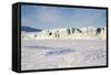 East Coast, Mohn Bukta, Heuglinbreen Heuglin Glacier-Stephen Studd-Framed Stretched Canvas