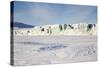 East Coast, Mohn Bukta, Heuglinbreen Heuglin Glacier-Stephen Studd-Stretched Canvas