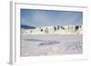 East Coast, Mohn Bukta, Heuglinbreen Heuglin Glacier-Stephen Studd-Framed Photographic Print