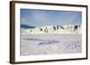 East Coast, Mohn Bukta, Heuglinbreen Heuglin Glacier-Stephen Studd-Framed Photographic Print