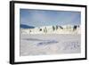 East Coast, Mohn Bukta, Heuglinbreen Heuglin Glacier-Stephen Studd-Framed Photographic Print