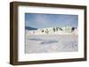 East Coast, Mohn Bukta, Heuglinbreen Heuglin Glacier-Stephen Studd-Framed Photographic Print