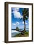 East Coast of Tutuila Island, American Samoa, South Pacific-Michael Runkel-Framed Photographic Print