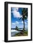 East Coast of Tutuila Island, American Samoa, South Pacific-Michael Runkel-Framed Photographic Print