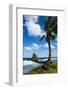 East Coast of Tutuila Island, American Samoa, South Pacific-Michael Runkel-Framed Photographic Print