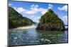 East Coast of Tutuila Island, American Samoa, South Pacific-Michael Runkel-Mounted Photographic Print