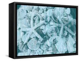 East Coast Shells I-Jairo Rodriguez-Framed Stretched Canvas