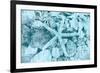 East Coast Shells II-Jairo Rodriguez-Framed Premium Giclee Print