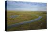 East Demerara Conservancy, East of Georgetown, Guyana-Pete Oxford-Stretched Canvas