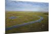 East Demerara Conservancy, East of Georgetown, Guyana-Pete Oxford-Mounted Photographic Print