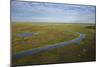 East Demerara Conservancy, East of Georgetown, Guyana-Pete Oxford-Mounted Photographic Print