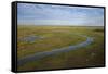 East Demerara Conservancy, East of Georgetown, Guyana-Pete Oxford-Framed Stretched Canvas