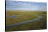 East Demerara Conservancy, East of Georgetown, Guyana-Pete Oxford-Stretched Canvas