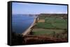 East Devon Coast Path, Near Sidmouth, Devon, England, United Kingdom-Cyndy Black-Framed Stretched Canvas