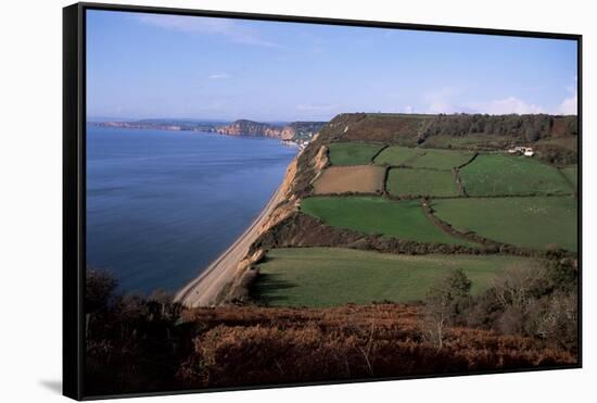 East Devon Coast Path, Near Sidmouth, Devon, England, United Kingdom-Cyndy Black-Framed Stretched Canvas